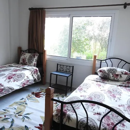 إرتونالب * فاماغوستا